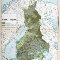 Finlande – forêts (1899)