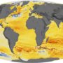 Monde – Élévation du niveau des mers (1992-2014)