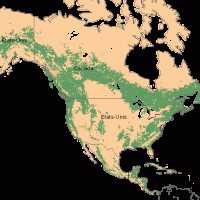 Amérique du Nord – Forêts