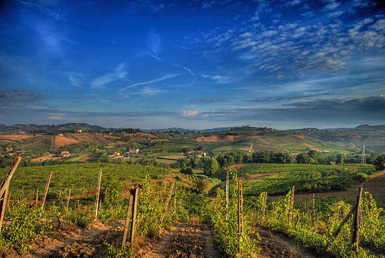 Vignoble du chianti, Toscane, Italie