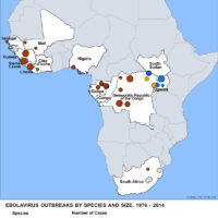 Afrique – Ebola (1976-2014)