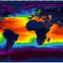 Monde – Températures de surface des océans en été, la nuit