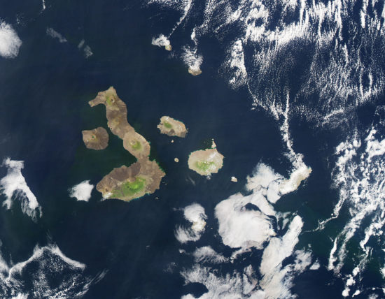 Équateur - Galapagos