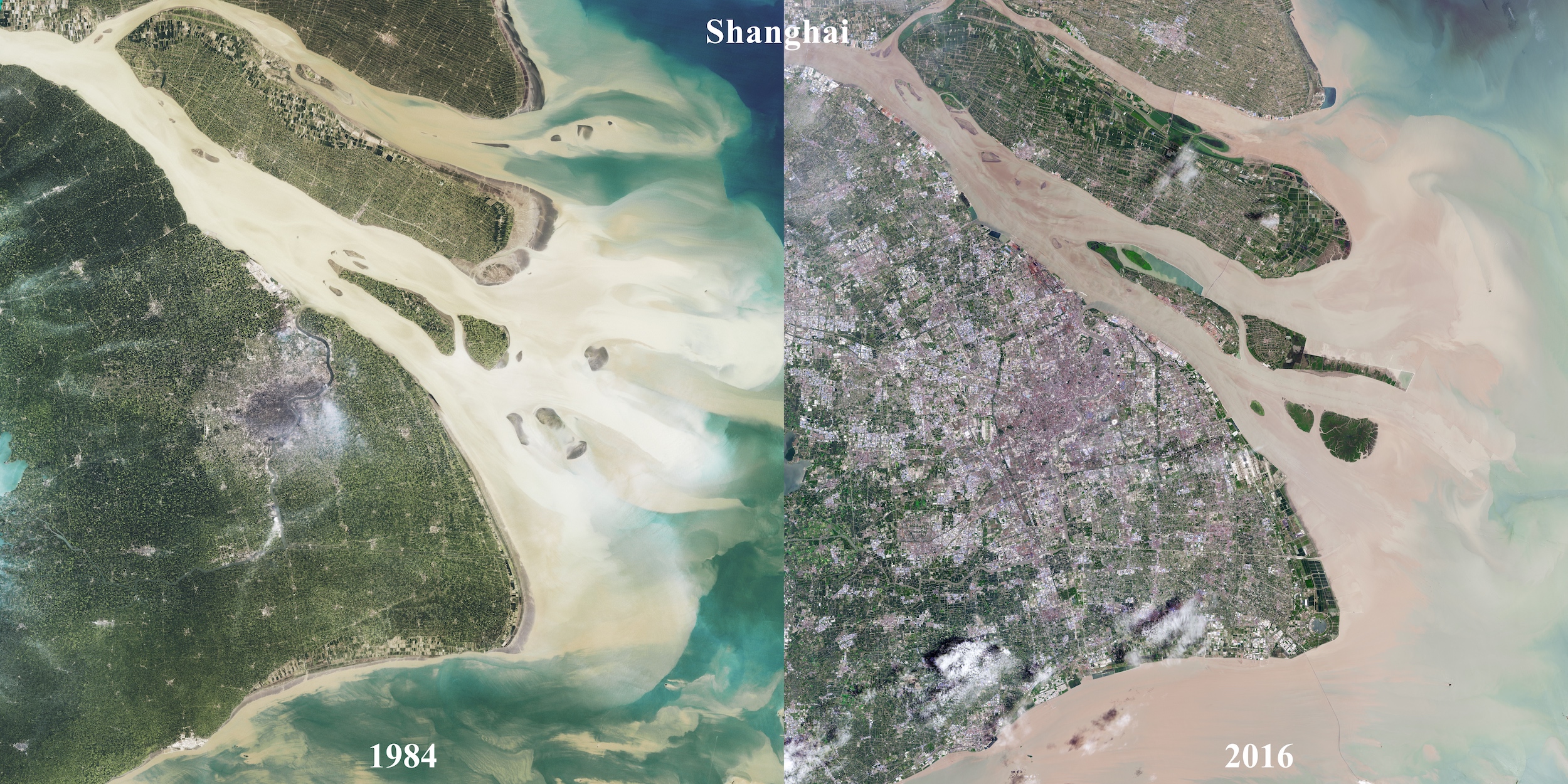 Shanghai - évolution de l'urbanisation (1984-2016)