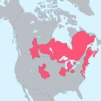 Amérique du Nord – Algonquiens : langues