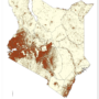 Kenya – distribution de la population (2019)