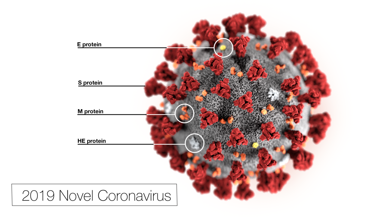 Coronavirus 2019 nCoV