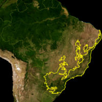 Brésil – Forêt atlantique (Mata Atlântica)