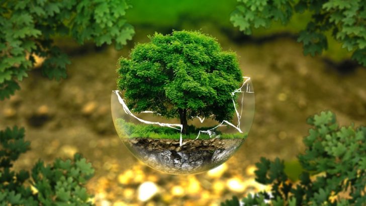 Comment positionner votre entreprise dans la lutte écologique ?