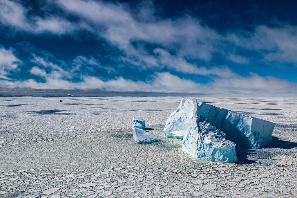 Icebergs en Antarctique