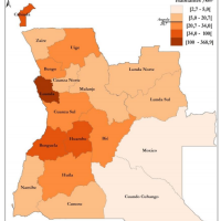 Angola – densité (2014)