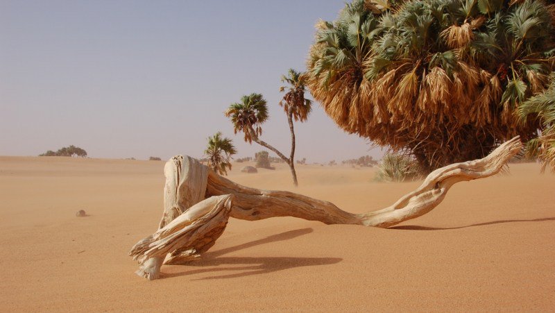 Plateau de l’Ennedi, Tchad