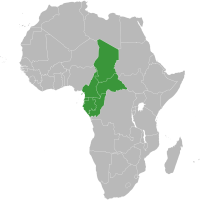 Afrique – Communauté économique et monétaire de l’Afrique centrale (CEMAC)