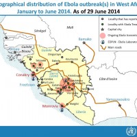 Afrique – OMS : Ebola (2014)