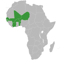 Afrique – Union économique et monétaire ouest-africaine (UEMOA)