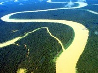 Internationalisation de la forêt amazonienne
