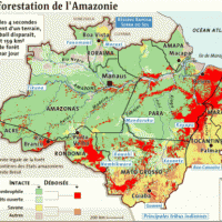 Amazonie – déforestation en 2005