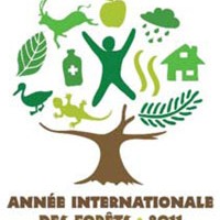 2011 Année internationale des Forêts