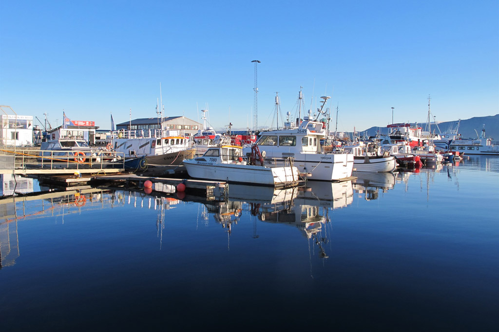 Bateaux de pêche - Reykjavik Islande