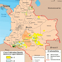 Colombie – culture de la coca