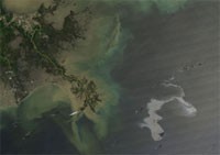 Etats-Unis : marée noire au large de la Louisiane