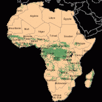 Afrique – Forêts
