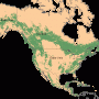 Amérique du Nord – Forêts