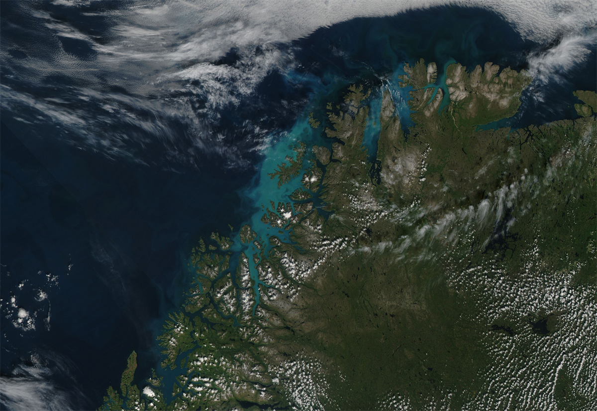 Norvège - Phytoplancton dans l'océan