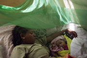 Progrès dans la lutte contre le paludisme